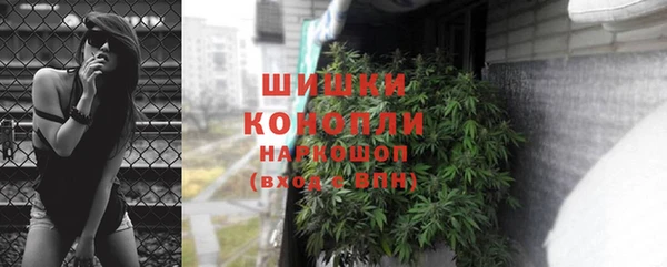 гидропоника Ладушкин