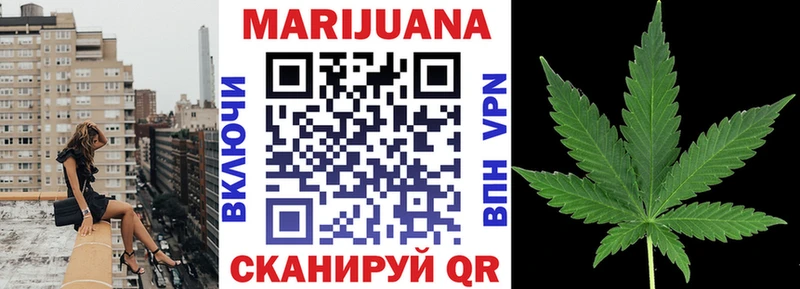 Шишки марихуана планчик  Тырныауз 